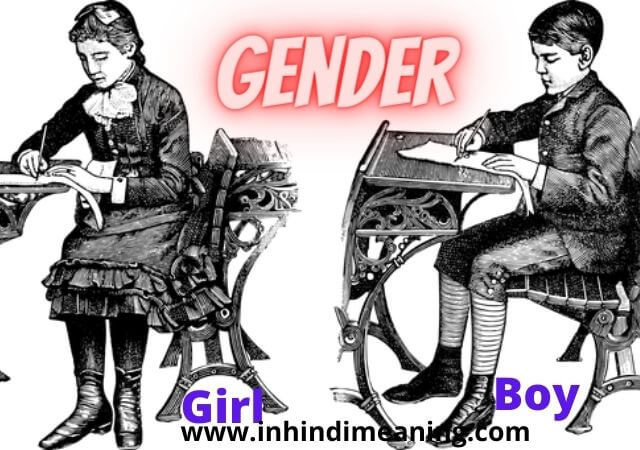 50+ Best Gender list - Masculine and Feminine Gender list